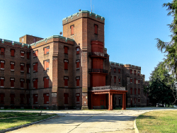 photograph